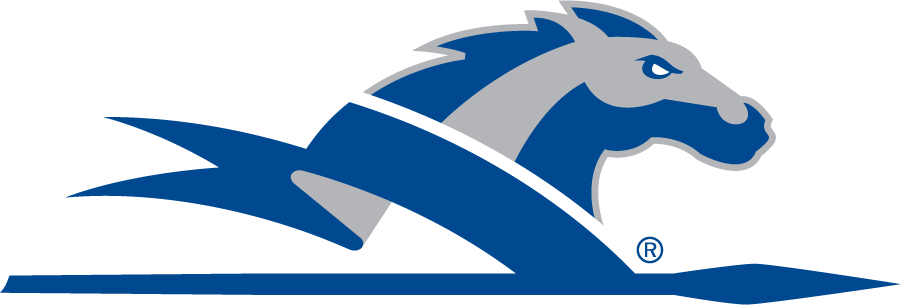 Longwood Lancers 2006-2014 Secondary Logo diy iron on heat transfer